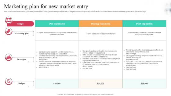 Marketing Plan For New Market Entry Worldwide Approach Strategy SS V