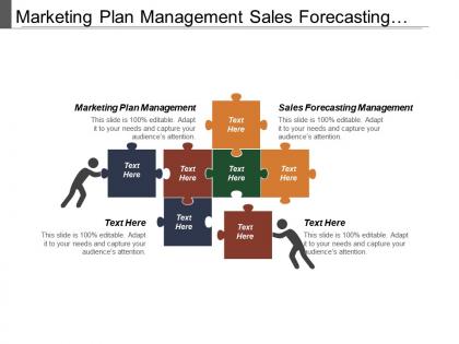 Marketing plan management sales forecasting management organizational structure