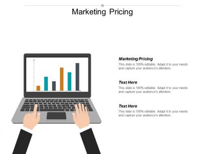 Marketing pricing ppt powerpoint presentation gallery infographics cpb