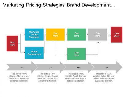 Marketing pricing strategies brand development enterprise ecommerce services