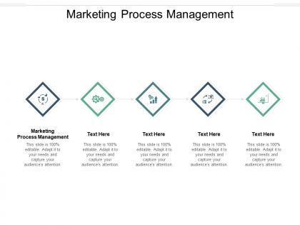 Marketing process management ppt powerpoint presentation gallery visual aids cpb