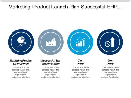 Marketing product launch plan successful erp implementation market researching cpb