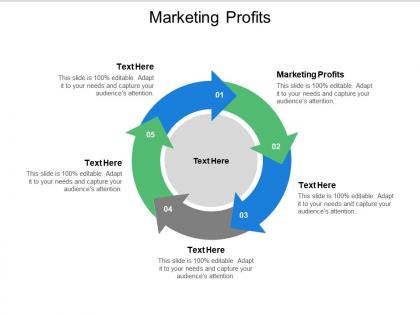 Marketing profits ppt powerpoint presentation icon designs cpb