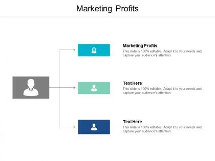Marketing profits ppt powerpoint presentation ideas visual aids cpb