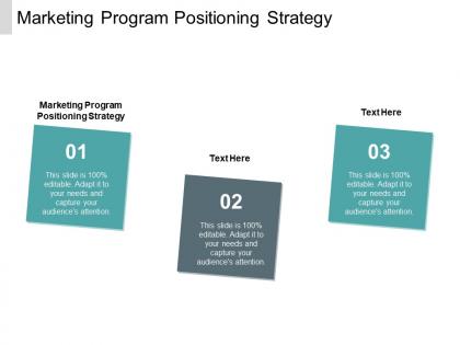 Marketing program positioning strategy ppt powerpoint presentation professional maker cpb
