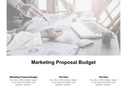 Marketing proposal budget ppt powerpoint presentation infographic template designs cpb