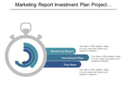 Marketing report investment plan project management financial statement analysis cpb