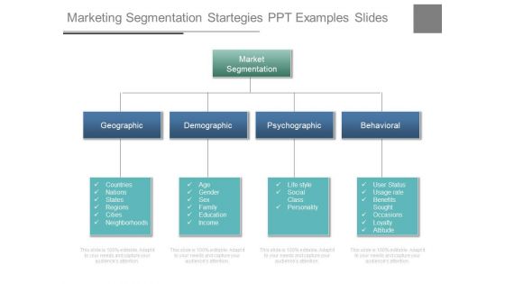 Marketing segmentation startegies ppt examples slides