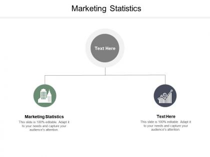 Marketing statistics ppt powerpoint presentation summary grid cpb