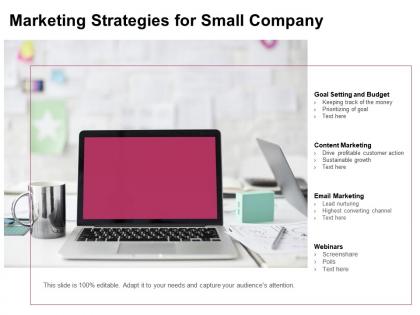 Marketing strategies for small company