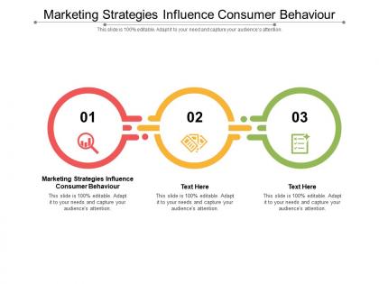 Marketing strategies influence consumer behaviour ppt powerpoint presentation portfolio design ideas cpb