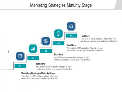 Marketing strategies maturity stage ppt powerpoint presentation background images cpb