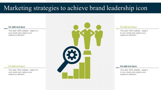 Marketing Strategies To Achieve Brand Leadership Icon