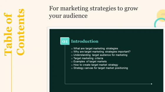 Marketing Strategies To Grow Your Audience Table Of Contents