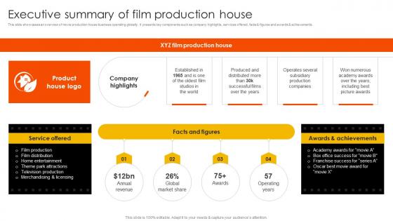 Marketing Strategies To Overcome Executive Summary Of Film Production House Strategy SS V
