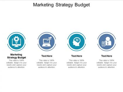 Marketing strategy budget ppt powerpoint presentation ideas graphics download cpb