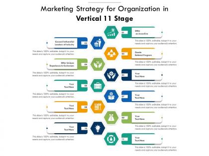 Marketing strategy for organization in vertical 11 stage