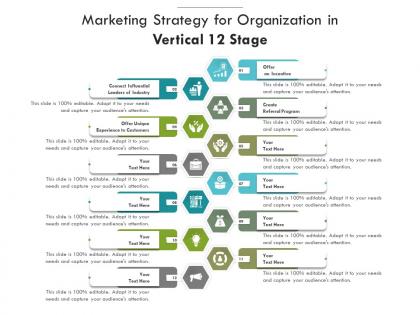 Marketing strategy for organization in vertical 12 stage