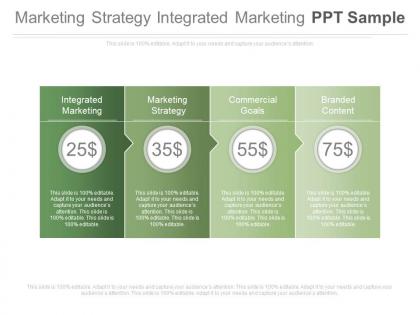 Marketing strategy integrated marketing ppt sample