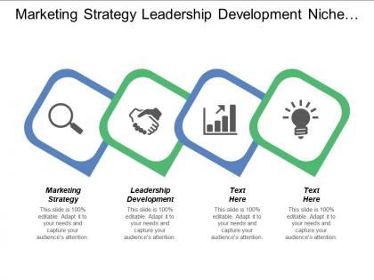 Marketing strategy leadership development niche market strategy e commerce analytics tools