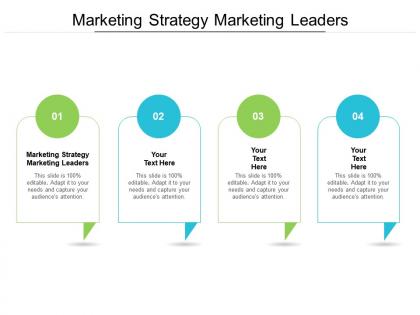 Marketing strategy marketing leaders ppt powerpoint presentation slides background cpb