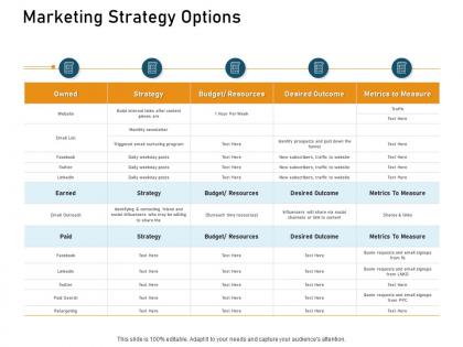 Marketing strategy options ppt powerpoint presentation outline designs download