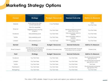Marketing strategy options ppt powerpoint presentation professional files