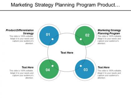 Marketing strategy planning program product differentiation strategy diamond model cpb