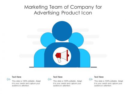 Marketing team of company for advertising product icon