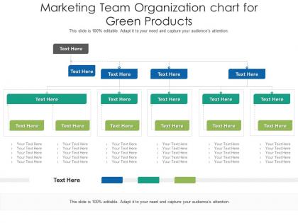 Marketing team organization chart for green products infographic template