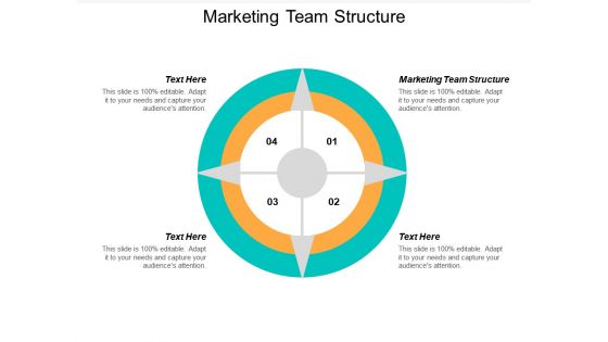 Marketing team structure ppt powerpoint presentation professional visuals cpb