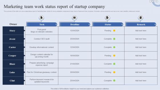 Marketing Team Work Status Report Of Startup Company