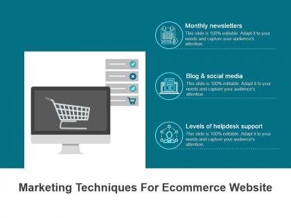Marketing techniques for ecommerce website ppt background
