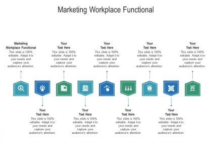 Marketing workplace functional ppt powerpoint presentation ideas infographic template cpb