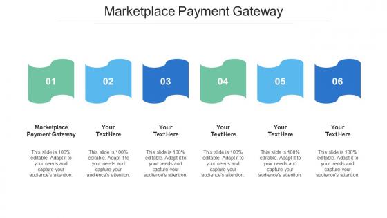 Marketplace Payment Gateway Ppt Powerpoint Presentation Professional Designs Cpb