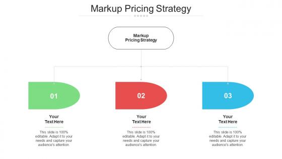 Markup Pricing Strategy Ppt Powerpoint Presentation Layouts Show Cpb