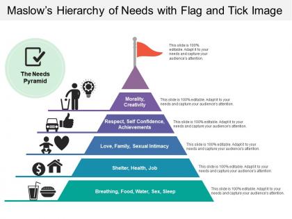 Maslows hierarchy of needs with flag and tick image