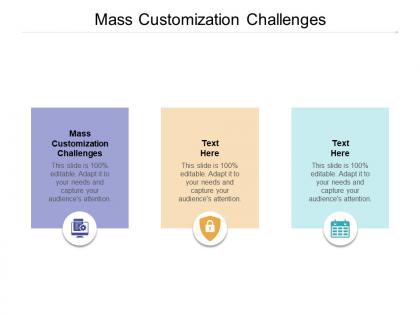 Mass customization challenges ppt powerpoint presentation gallery designs cpb
