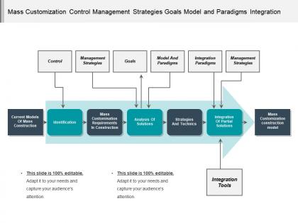 Mass customization control management strategies goals model and paradigms integration