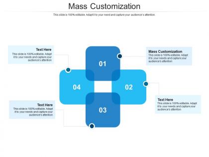 Mass customization ppt powerpoint presentation file designs download cpb