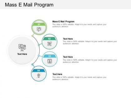 Mass e mail program ppt powerpoint presentation styles templates cpb