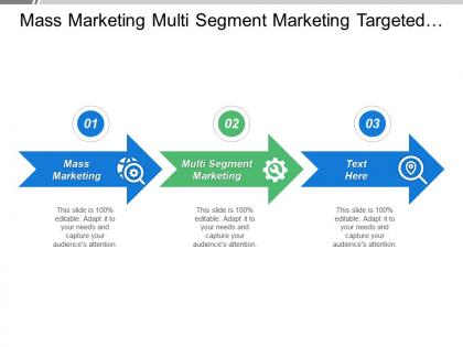 Mass marketing multi segment marketing targeted marketing concentrated marketing