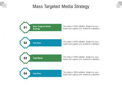 Mass targeted media strategy ppt powerpoint presentation icon cpb
