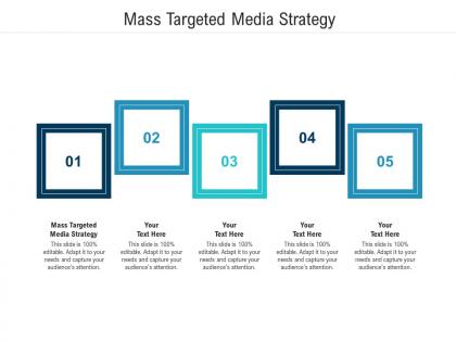 Mass targeted media strategy ppt powerpoint presentation portfolio inspiration cpb