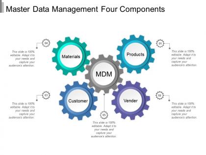 Master data management four components