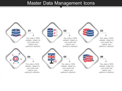 Master data management icons