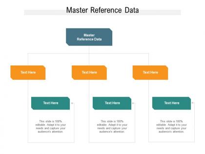 Master reference data ppt powerpoint presentation ideas cpb