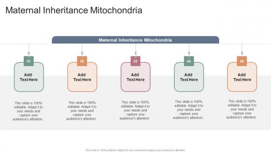 Maternal Inheritance Mitochondria In Powerpoint And Google Slides Cpb
