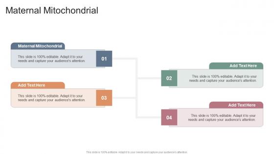 Maternal Mitochondrial In Powerpoint And Google Slides Cpb