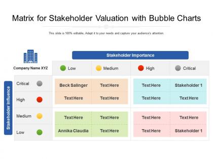 Matrix for stakeholder valuation with bubble charts